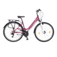 Neuzer Ravenna 100 női kerékpár padlizsán 17" Neuzer Ravenna 100 női kerékpár padlizsán 17"