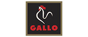Gallo